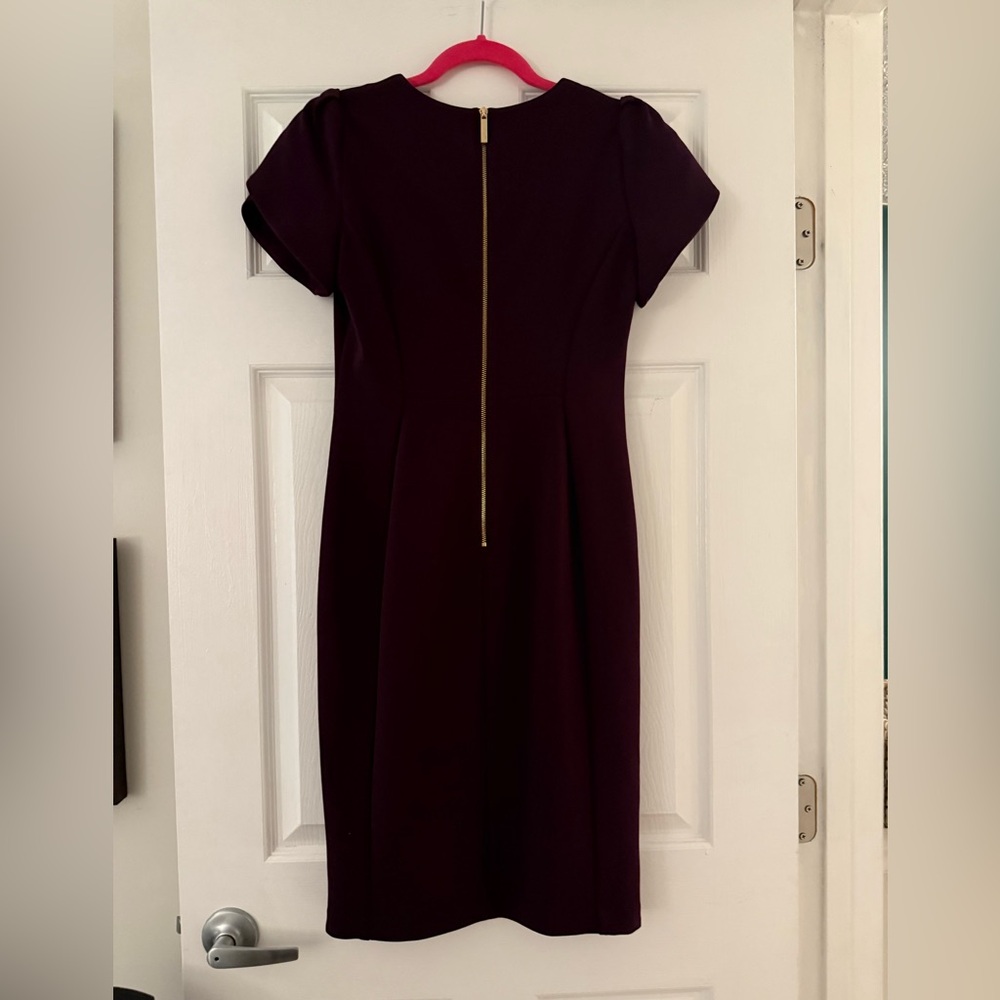 Burgundy Calvin Klein Capped Sleeve Dress - Picture 5 of 7